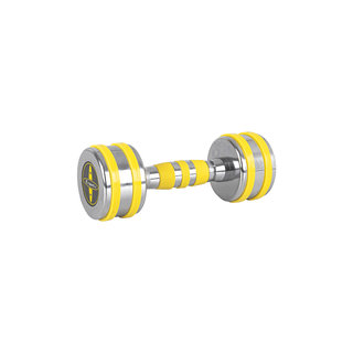 Insportline Chrome Dumbbell Yellsteel (1-14 kg) 4
