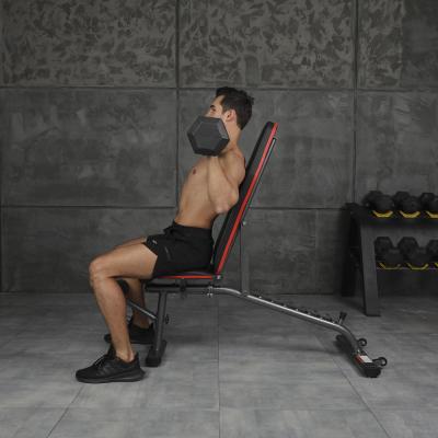 Insportline verstelbare halterbank AB055 7