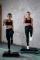 Avento grote fitness stepper