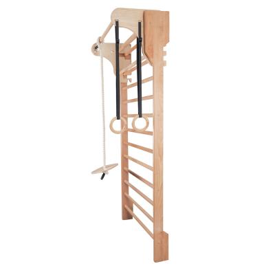 Insportline Pull-Up Bar for Wall Bars 1