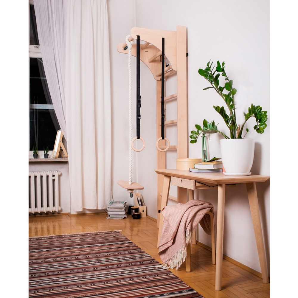 Insportline gymnastiekringen voor klimrek 4