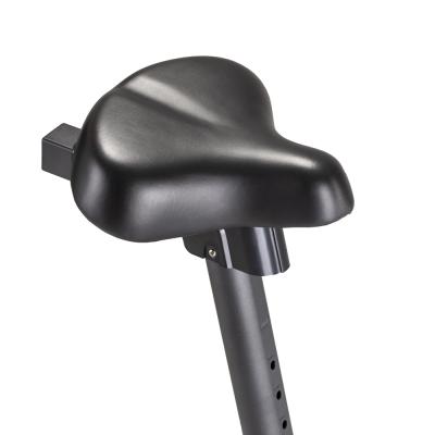 Hometrainer inSPORTline Hodore UB 5