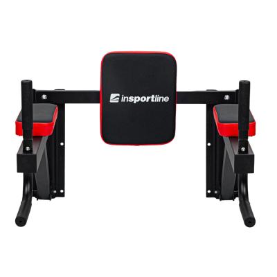 Wall-Mounted Pull-Up Bar Insportline 2