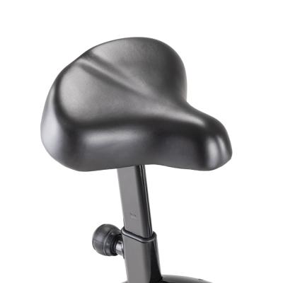 Exercise Bike inSPORTline Petyr UB 3