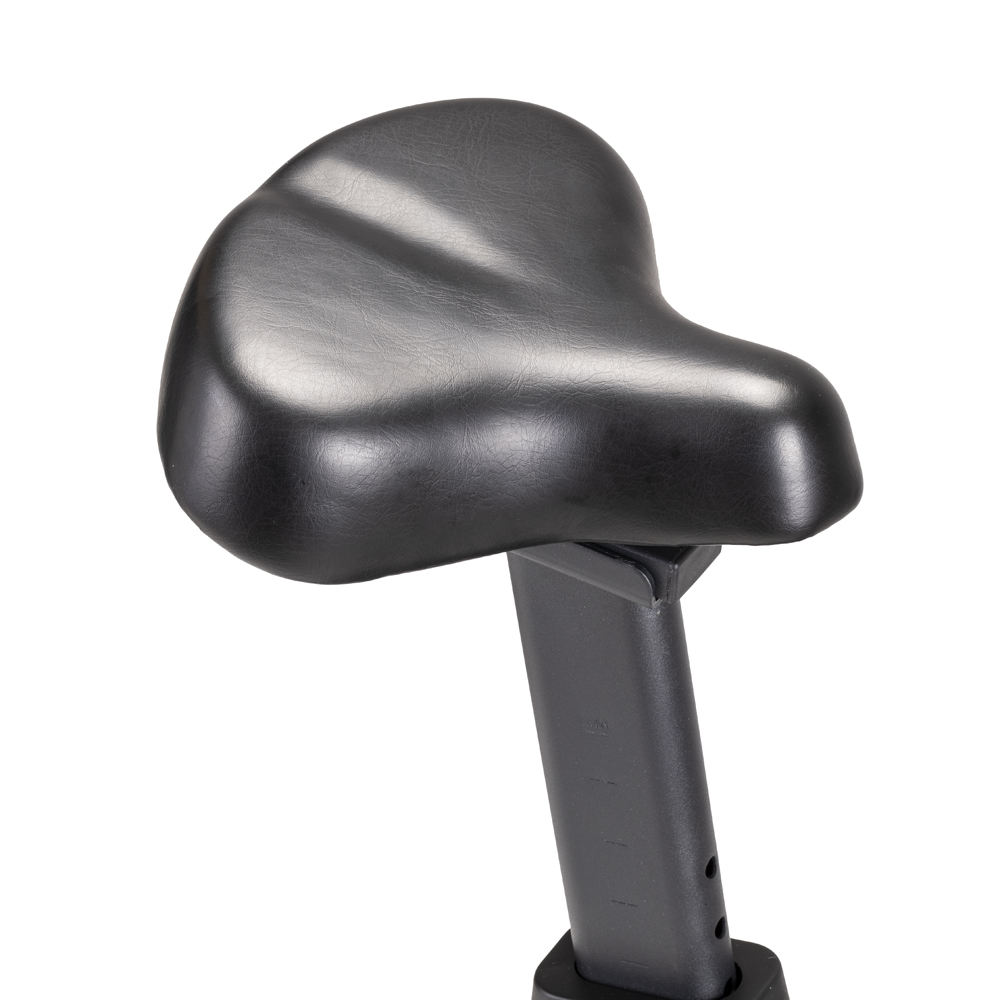 Exercise Bike inSPORTline Delavan UB 7