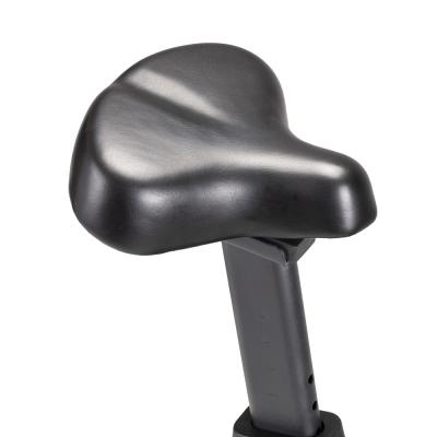 Exercise Bike inSPORTline Delavan UB 7