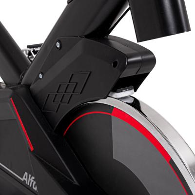 Spin Bike inSPORTline Alfan 7
