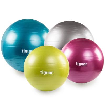 Tiguar gymnastiekbal Safety Plus 5