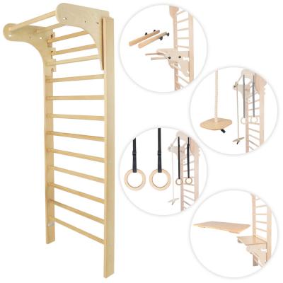 Wall Bars w/ Accessories inSPORTline Directline