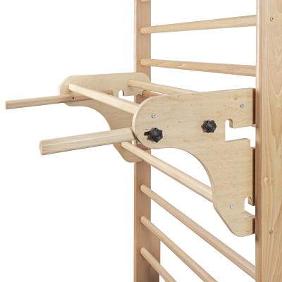 Wall Bars w/ Accessories inSPORTline Directline 5