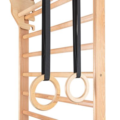 Wall Bars w/ Accessories inSPORTline Directline 7