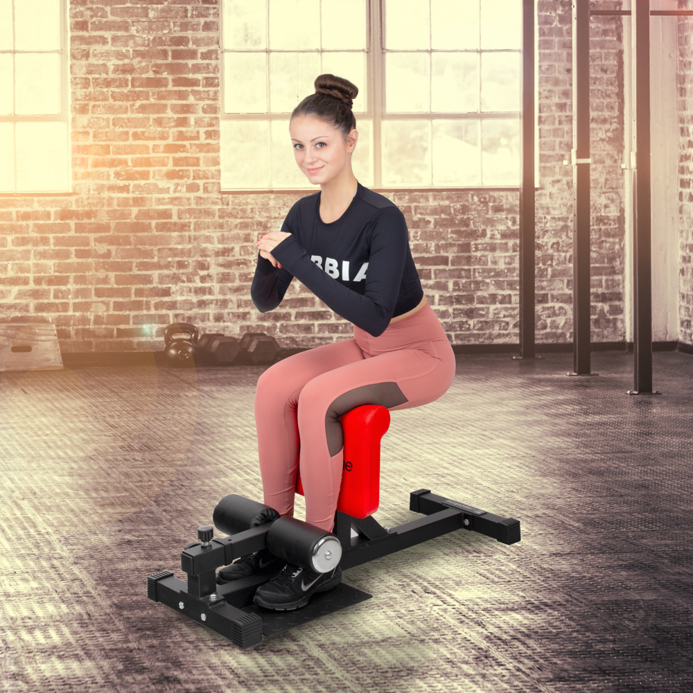 Sissy Squat trainingsbank inSPORTline Squo 2