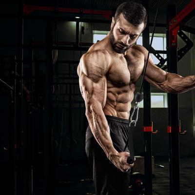 Cable Pulley System inSPORTline Puley 100 2