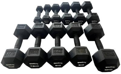 Sportbay Rubber HEXA Dumbbells 2
