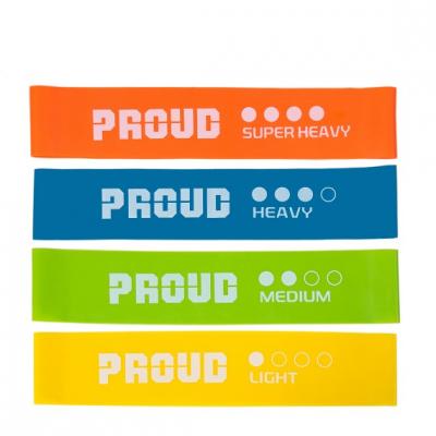 Proud Miniband Performance Set (4 banden)
