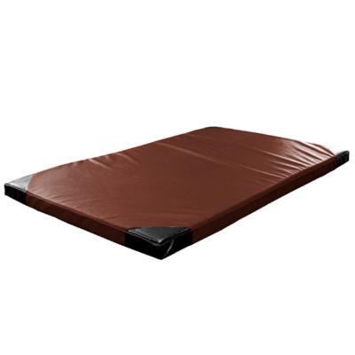 Gymnastics Mat Insportline Roshar T60 Brown