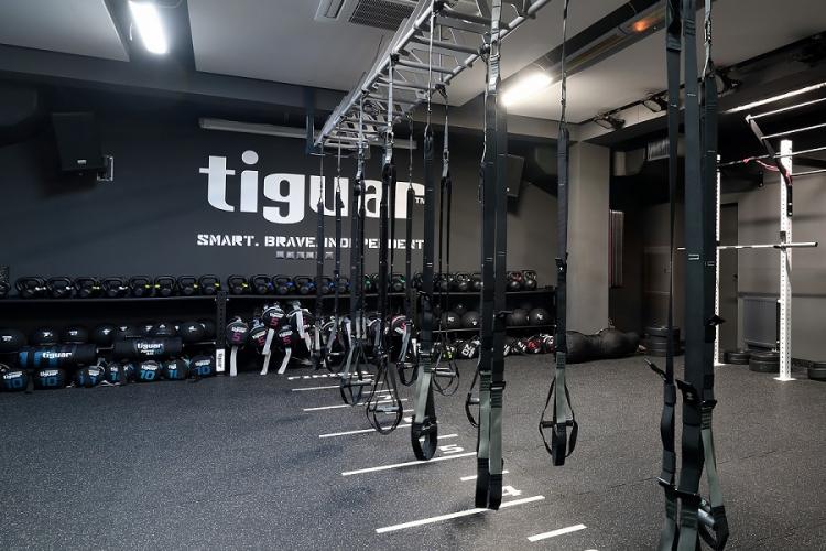 Suspension systeem Tiguar alfa PRO 6