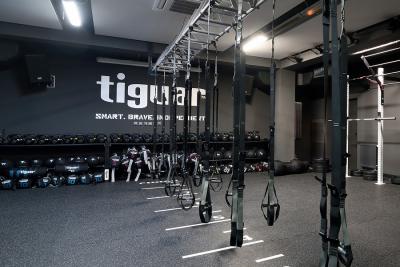 Suspension systeem Tiguar alfa PRO 6