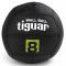 Tiguar CrossFit Wall Balls