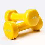 Vinyl_dumbbell_1