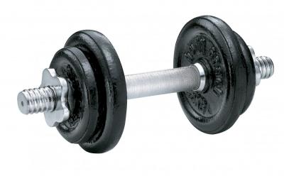 Steel Dumbbell set 10 kg