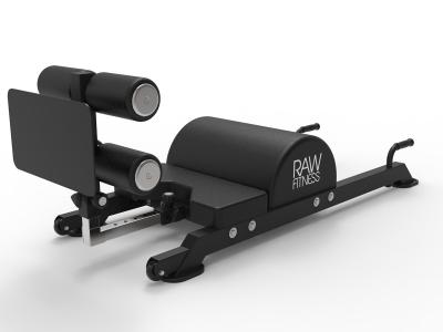 RawFitness Glute Hamstring Developer 1