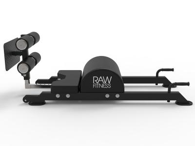RawFitness Glute Hamstring Developer 2
