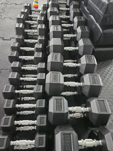 Hex Dumbbells 220 kg 2,5 to 22,5 kg 5