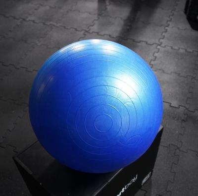 Universele gymbal fitnessbal (55 cm) 4