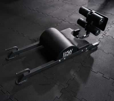 RawFitness Glute Hamstring Developer 6