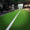 Speed Track Indoor 20 m - Artificial Turf