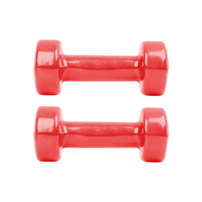 Vinyl Dumbbells set 2 x 1.5 kg 1