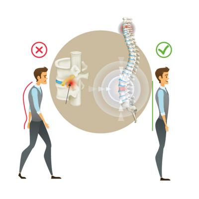 Inversion Table inSPORTline Verge 6