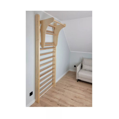 Sportbay Pull-Up Bar for Wall Bars 1