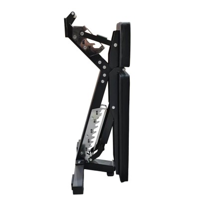 Commerciële Verstelbare Trainingsbank RawFitness 2