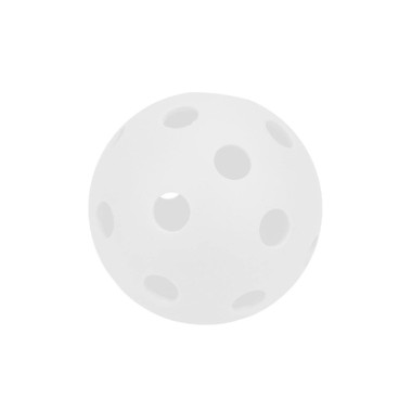 pickleball-ball-school