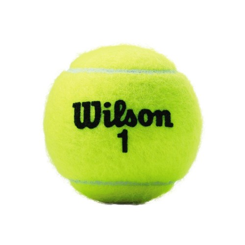 Wilson Championship Extra Duty XD Tennisballen 2