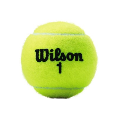 Wilson Championship Extra Duty XD Tennisballen 2
