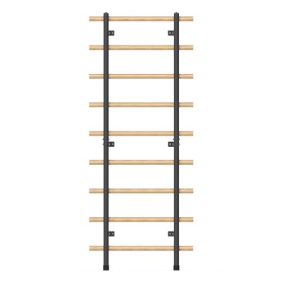 Wall Bars inSPORTline Wootaline 220 x 80 cm w/ Pull-Up Bar & Parallel Bars 2