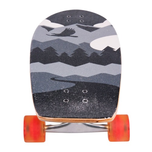 Longboard Tony Hawk Scenery 1