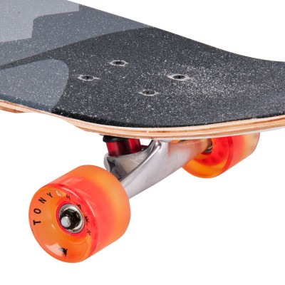 Longboard Tony Hawk Scenery 4