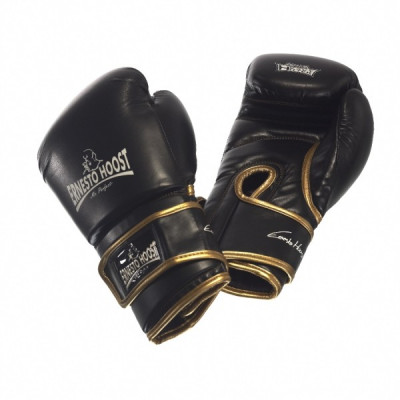 Ernesto Hoost Amateur Boxing Gloves